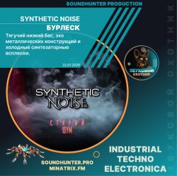 Pochette Synthetic Noise - Бурлеск