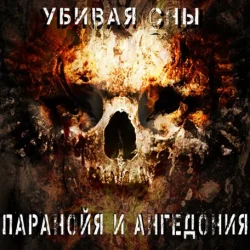 Pochette Паранойя и Ангедония - Дурачек