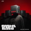 Pochette DJ SASHA BASS - Top 15 Melodic tracks Tehno July 2026. DJ SASHA BASS - Top 15 Melodic tracks Tehno July 2026.