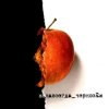 Pochette Чернозем - Над заборами Чернозем - Над заборами