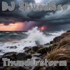 Pochette DJ Shved&co - Thunderstorm DJ Shved&co - Thunderstorm