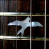 Pochette Caged Rhythm - The Return (Original Mix) Caged Rhythm - The Return (Original Mix)