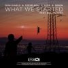 Pochette Don Diablo, Steve Aoki & Lush & Simon - What We Started Don Diablo, Steve Aoki & Lush & Simon - What We Started