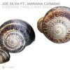Joe Silva - Everyone Finds a Way 2025