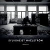 Pochette Sylvgheist Maëlström - Burn Sylvgheist Maëlström - Burn