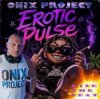 Pochette Onix project , Kid Brutal - Ride the Beat Onix project , Kid Brutal - Ride the Beat