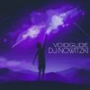 DJ Nowitzki - Voidglide