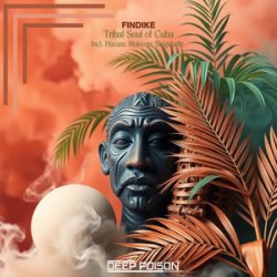 Pochette Findike - Tribes (Original Mix)