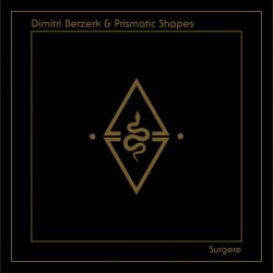 Pochette Dimitri Berzerk - Surgere (Mi 3 De 8 Bits Remix)