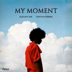 Pochette Elegant Ape & Cristian Ferrer - My Moment (Radio Edit)