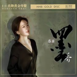 Pochette Cai Jing - Slow Sound