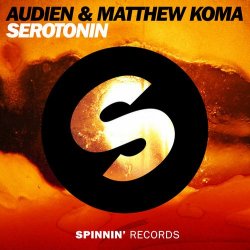 Pochette Audien & Matthew Koma - Serotonin (Original Mix)