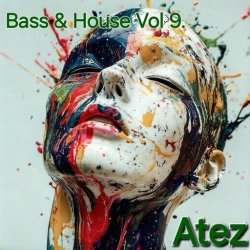 Pochette Bass & House Vol 9.