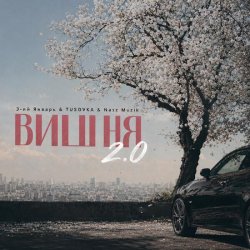 Pochette 3-ий Январь - Вишня (2.0 TUSOVKA & Nazz Muzik Remix)