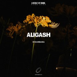 Pochette ALIGASH - Moon Bay At Sunset (Extended Mix)