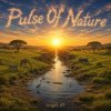 Pochette Angel-69 - Pulse Of Nature Angel-69 - Pulse Of Nature