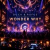 Pochette Duck & Rufus - Wonder Why Duck & Rufus - Wonder Why