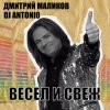 Pochette Дмитрий Маликов, Dj Antonio - Танцуй моя любовь Дмитрий Маликов, Dj Antonio - Танцуй моя любовь