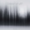 Pochette MichaEL - Through the mist MichaEL - Through the mist