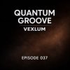 Pochette Vexlum - Quantum Groove 037 Vexlum - Quantum Groove 037