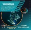 Pochette Astroconductor - Experience Dive Astroconductor - Experience Dive