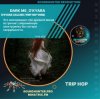 Pochette Dark Me, O'Kyara - O'Kyara Calling (Trip Hop Vers) Dark Me, O'Kyara - O'Kyara Calling (Trip Hop Vers)