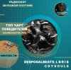 Pochette DesposalBeats, L B R I S - crysouls DesposalBeats, L B R I S - crysouls