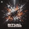 Pochette Tiesto & Rita Ora - Ritual (DJ Nowitzki Remix) Tiesto & Rita Ora - Ritual (DJ Nowitzki Remix)