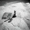 Pochette Текст Бельских Сергей Томск. - Национальные шахматы. Текст Бельских Сергей Томск. - Национальные шахматы.