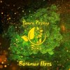 Pochette Вольный Путь - Белый Барс Вольный Путь - Белый Барс
