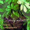 Pochette Злата Дзарданова - Пробуждение Злата Дзарданова - Пробуждение