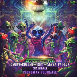 Pochette Drukverdeler & DJ Bim - The Triangle (Original Mix)