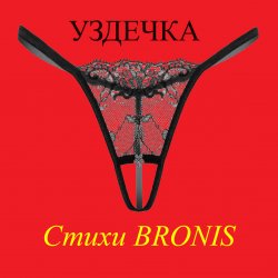 Pochette УЗДЕЧКА