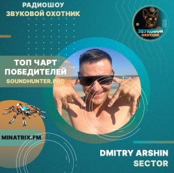 Pochette Dmitry Arshin - SECTOR