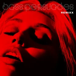 Pochette Bass Persuades (Remixx)