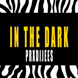 Pochette IN THE DARK