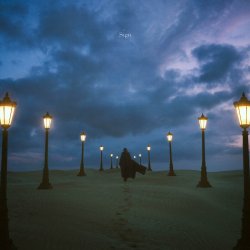 Pochette Aimer - Wren