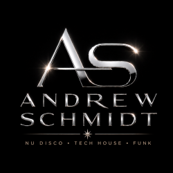 Pochette Andrew Schmidt feat. Andra Vox - Move You Feet