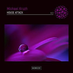 Pochette House Attack