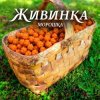 Живинка - Морошка