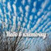 Pochette Яна RU - Небо в клеточку Яна RU - Небо в клеточку