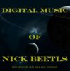 Pochette Nick Beetls - Night Flight Nick Beetls - Night Flight
