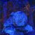 Pochette Lxst Wxrld - Fate by Design