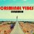 Pochette Criminal Vibes vs. DJ DNK - Calabria (DJ KIRILLICH Mashup)