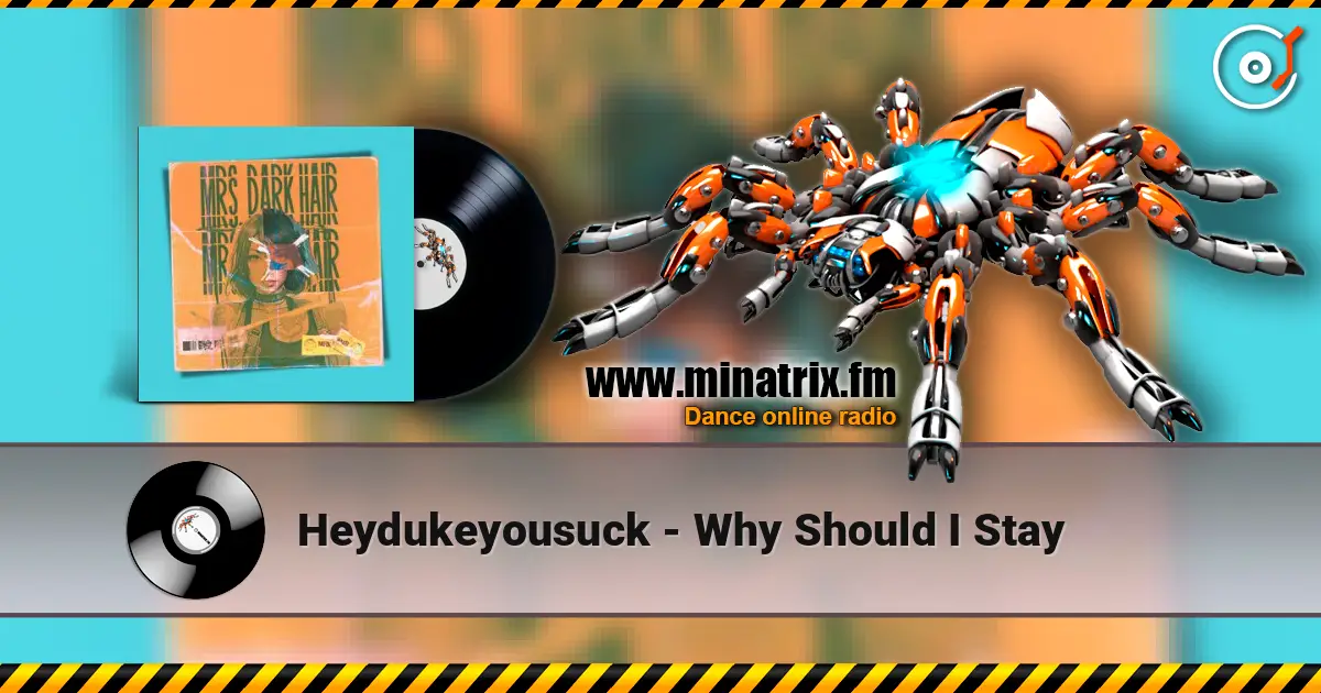 Heydukeyousuck - Why Should I Stay écouter en ligne en haute qualité | Minatrix.FM