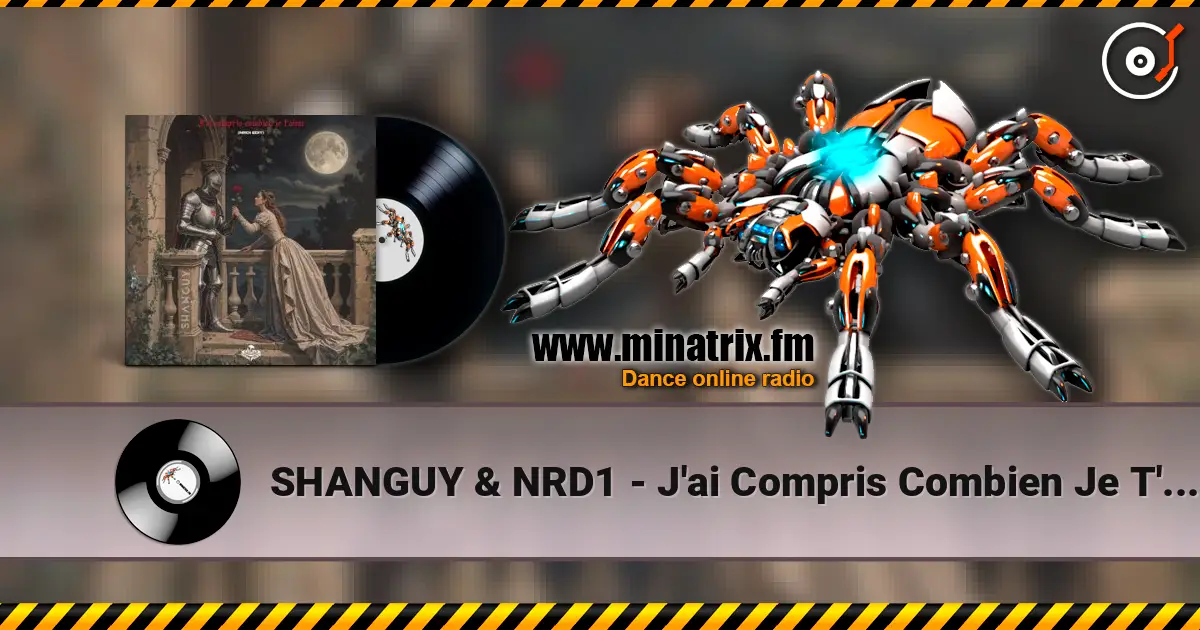 SHANGUY & NRD1 - J'ai Compris Combien Je T'aime écouter en ligne en haute qualité | Minatrix.FM