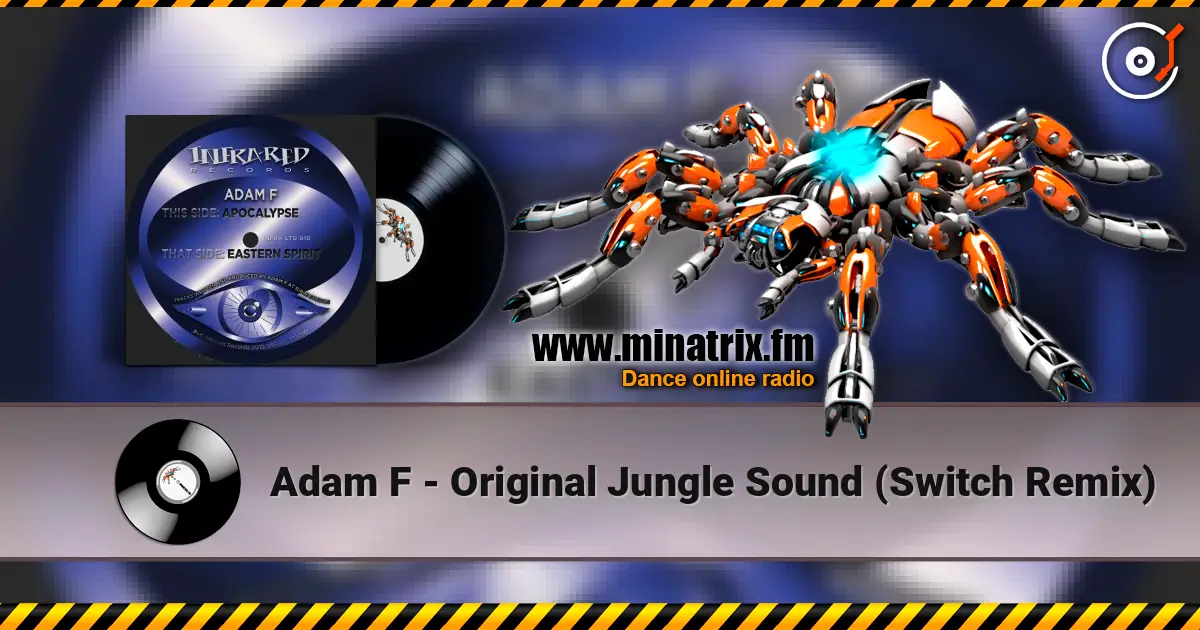 Adam F - Original Jungle Sound (Switch Remix) écouter en ligne en haute qualité | Minatrix.FM
