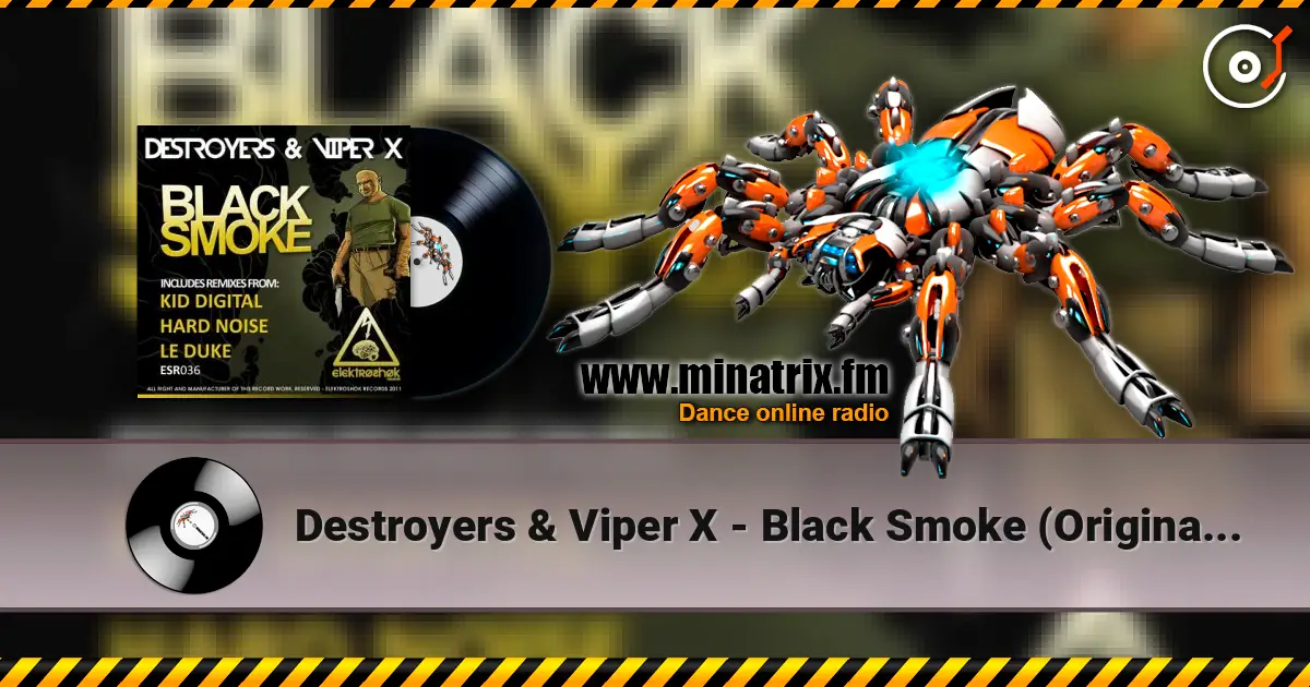 Destroyers & Viper X - Black Smoke (Original Mix) écouter en ligne en haute qualité | Minatrix.FM