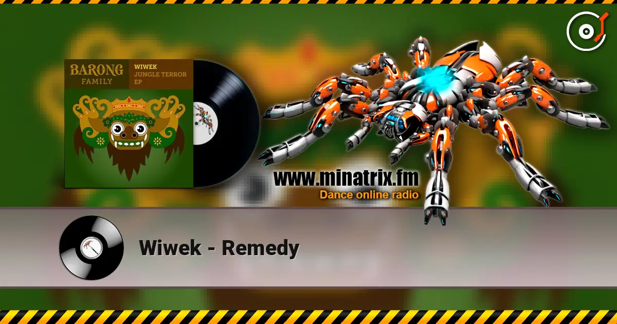 Wiwek - Remedy écouter en ligne en haute qualité | Minatrix.FM