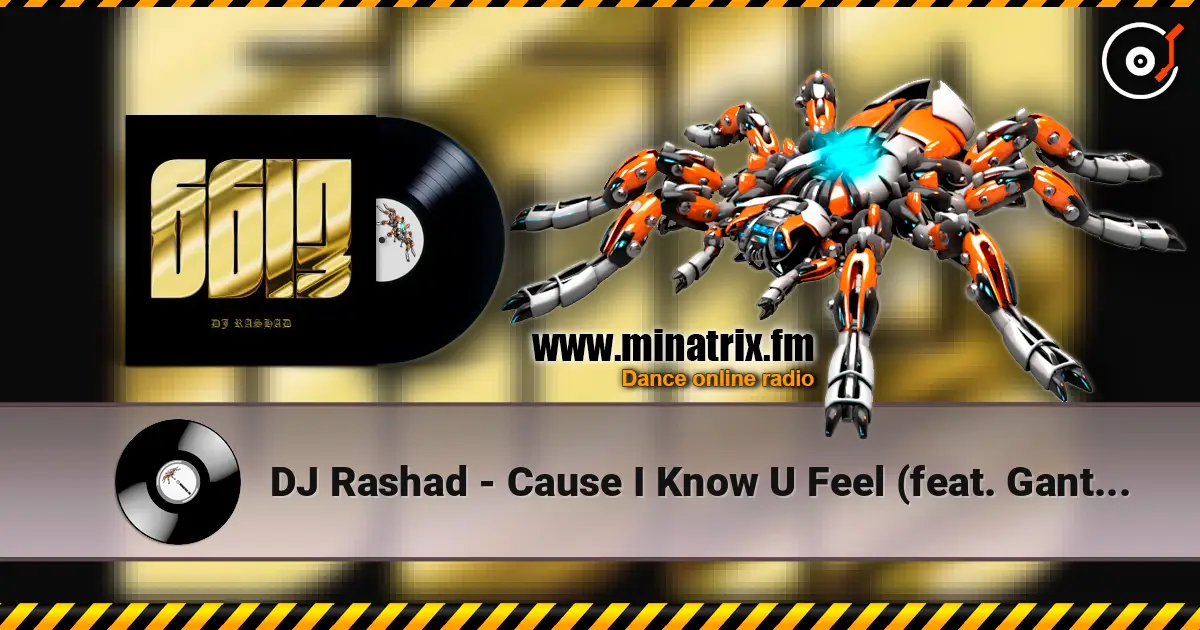 DJ Rashad - Cause I Know U Feel (feat. Gant-Man) écouter en ligne en haute qualité | Minatrix.FM
